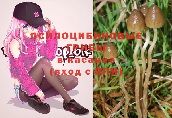 PSILOCYBIN Алексеевка