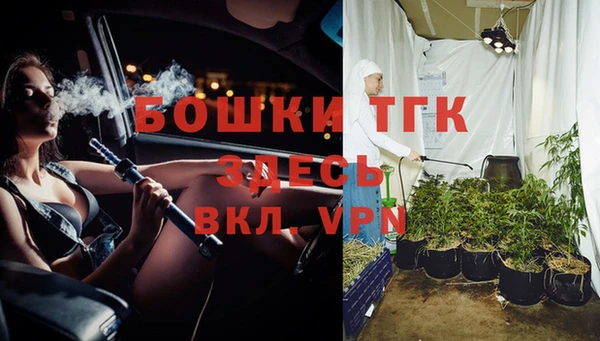 PSILOCYBIN Алексеевка