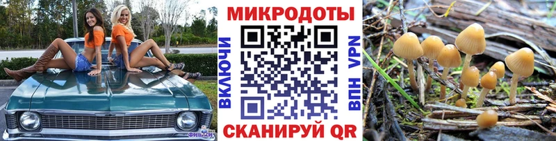 Галлюциногенные грибы Cubensis  блэк спрут онион  Амурск 